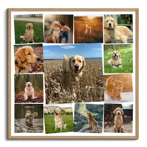 Dog Lovers Photo Collage with Central Image
