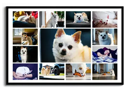 Dog Lovers Photo Collage with Central Image
