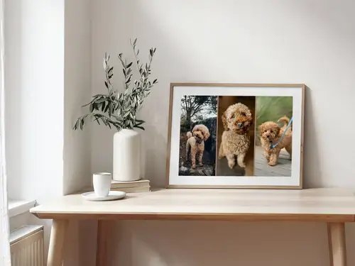 Collage photo chien personnalisable