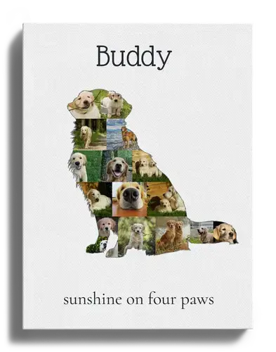 Create Your Golden Retriever Photo Memory