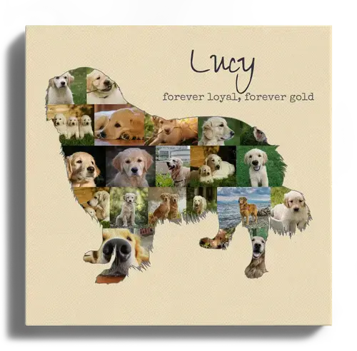 Create Your Golden Retriever Photo Memory
