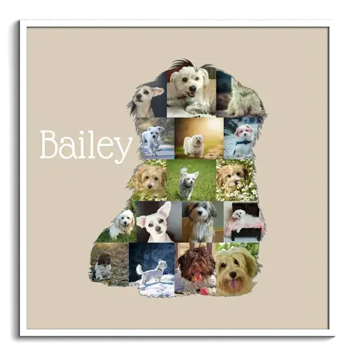 Create Your Personalized Havanese Photo Silhouette Collage Keepsake