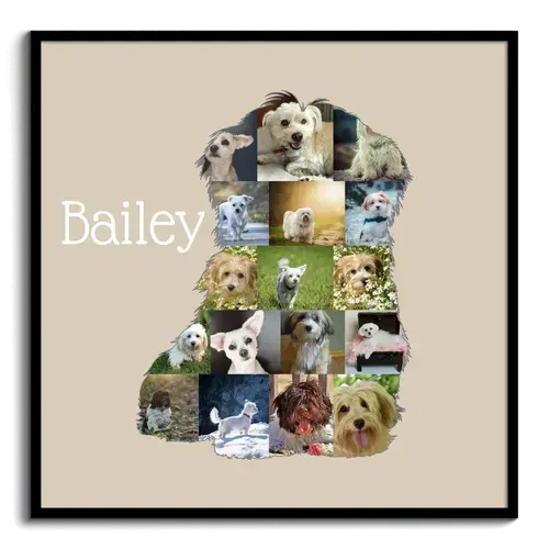Create Your Personalized Havanese Photo Silhouette Collage Keepsake