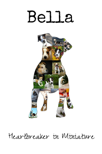 Create Your Jack Russell Collage - Personalize with Photos & Text