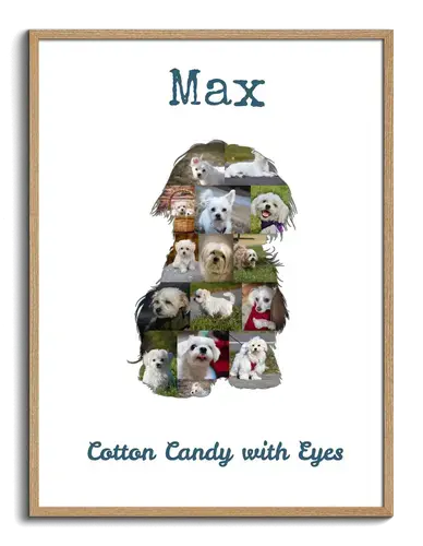 Create Your Maltese Photo Collage - Personalize with Your Pup's Photos and Text