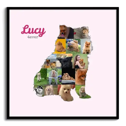 Create Your Pomeranian Photo Collage: Personalize with 15-20 Pics & Text