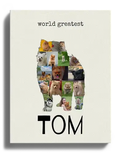 Create Your Pomeranian Photo Collage: Personalize with 15-20 Pics & Text