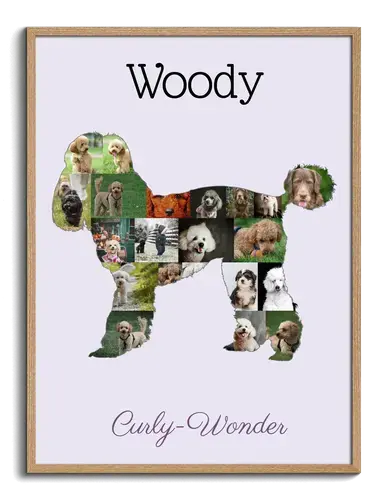 Create Your Custom Poodle Photo Collage - Cherish Memories