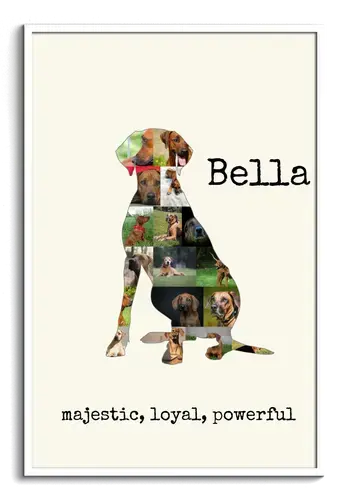 Create Your Personalized Rhodesian Ridgeback Dog Photo Collage