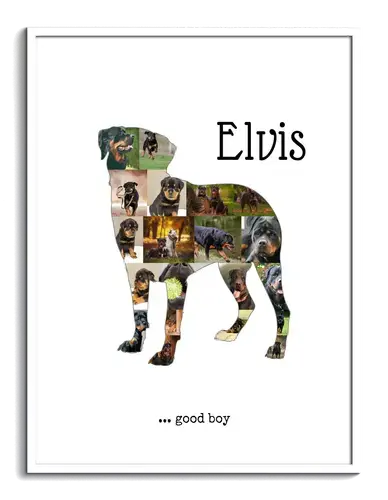 Create Your Rottweiler Photo Collage – Personalized Dog Lover Gift