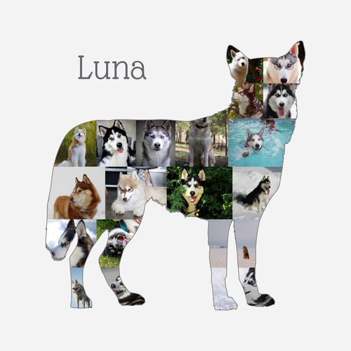 Create Your Own Husky Photo Collage - Personalized Gift for Dog Lovers