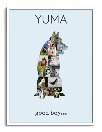 Create Your Own Husky Photo Collage - Personalized Gift for Dog Lovers