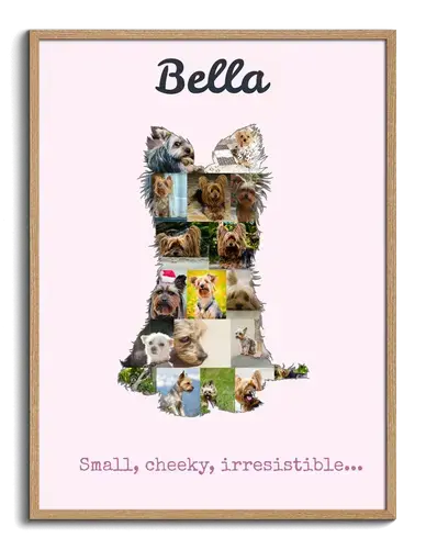 Create Your Own Yorkie Photo Collage: Personalize with Photos and Text