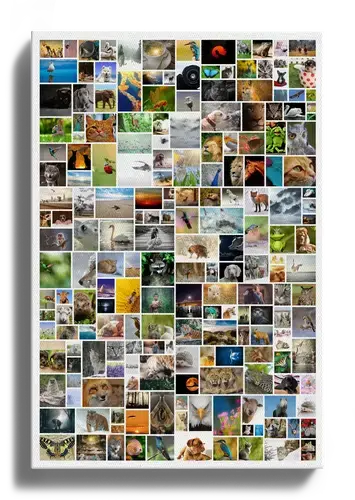 "Créez une Collage Murale Géante en Papillon Sauvage jusqu'à 200 Photos"