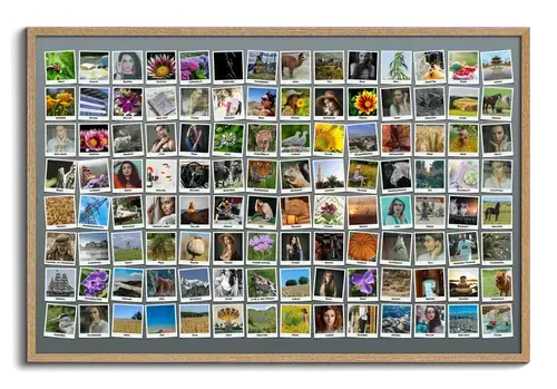 Photo collage create hundred photos with polaroids