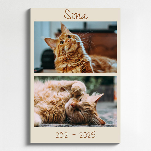 Pet Memorial Photo Collage Templates