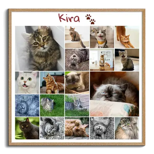 Pet Memorial Photo Collage Templates