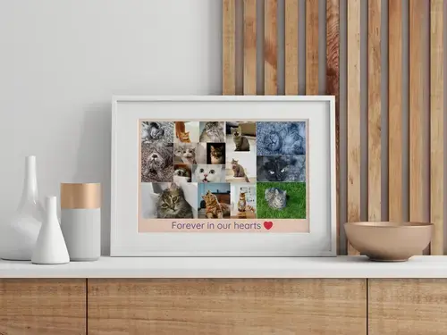 Pet Memorial Photo Collage Templates