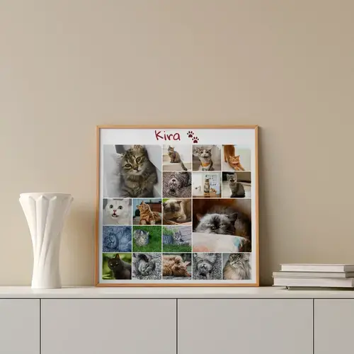 Pet Memorial Photo Collage Templates