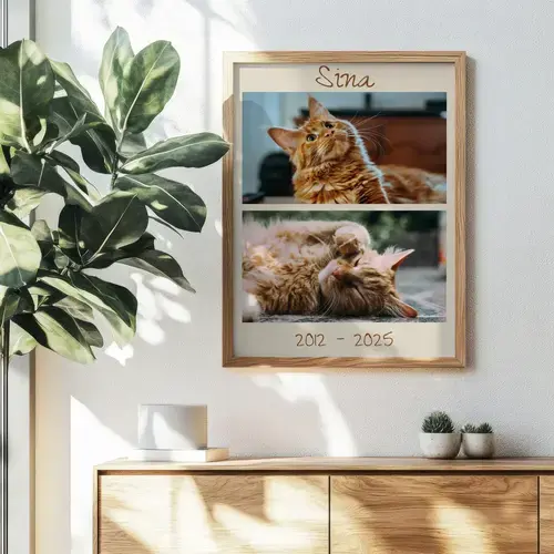 Pet Memorial Photo Collage Templates