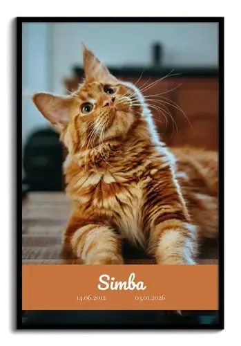 Collage souvenir chat – photo unique, nom & dates