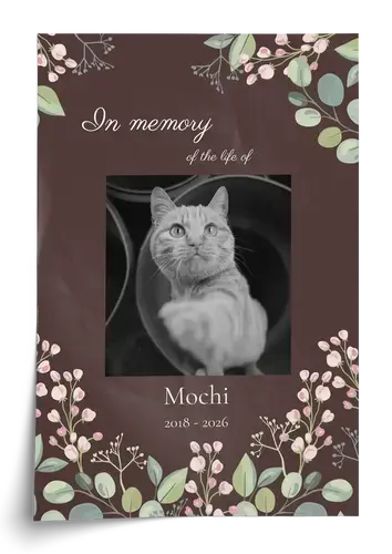 Cat Memorial Collage, Single Photo, Name & Dates