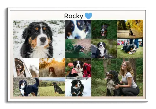 Dog Memorial Photo Collages, Custom Text & Dates