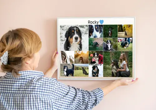 Dog Memorial Photo Collages, Custom Text & Dates