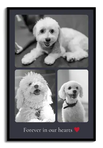 Dog Memorial Photo Collages, Custom Text & Dates