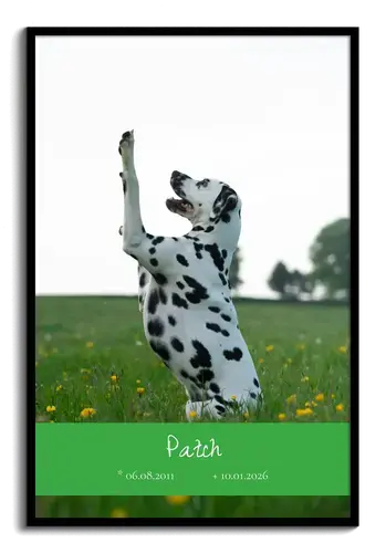 Dog Memorial Single Photo Collage, Oval Frame