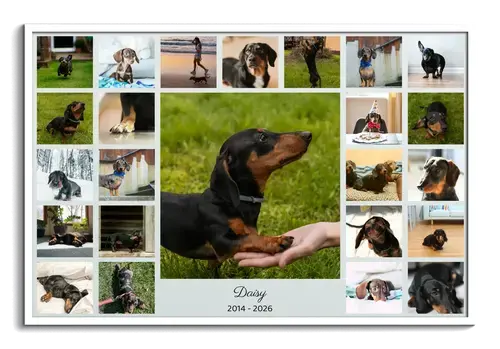 Dog Silhouette Photo Collage Memorial Name & Dates