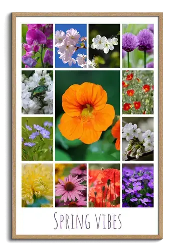Floral, Bloom & Spring Premium Photo Collage