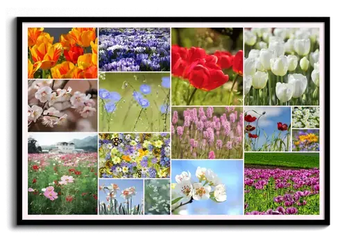 Floral, Bloom & Spring Premium Photo Collage