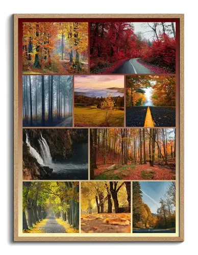 Seasonal Landscape Collage Premium Prints