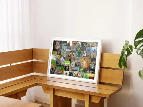 Wildlife & Bird Collages Premium Prints