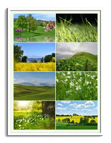 Seasonal Nature & Wildlife Collage Prints