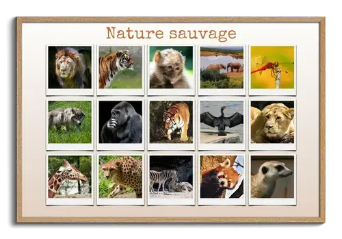 Animaux Sauvages en Collage Polaroid