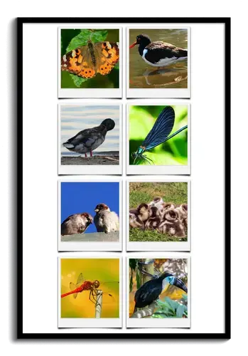 Wildlife Animal Polaroid Collage Template