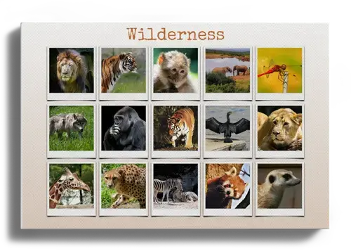 Wildlife Animal Polaroid Collage Template
