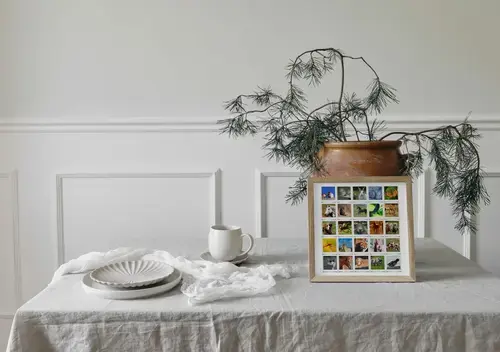 Wildlife Animal Polaroid Collage Template