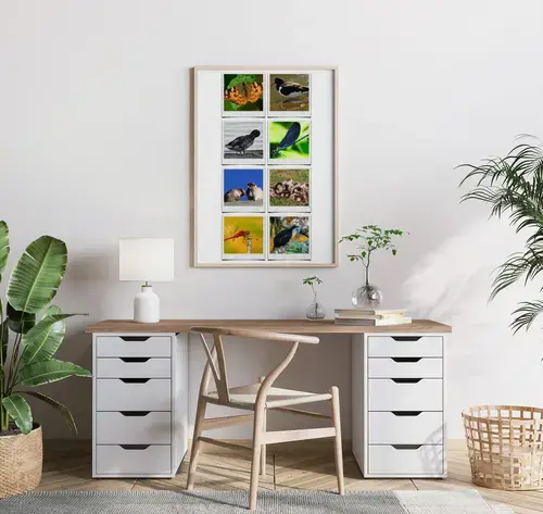 Wildlife Animal Polaroid Collage Template