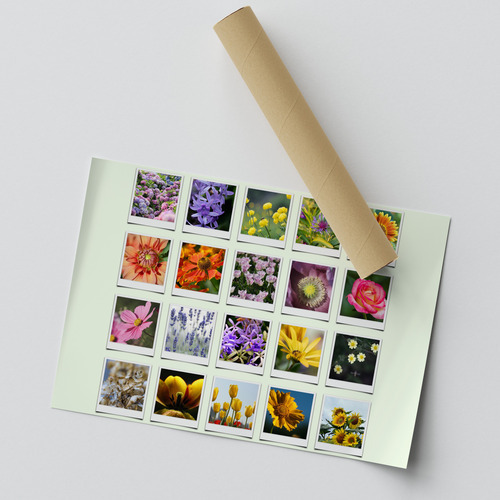 Polaroid Nature Collage - Seasonal Memories