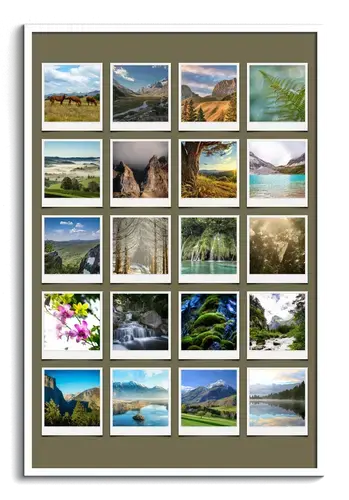 Polaroid Nature Collage - Seasonal Memories