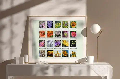 Polaroid Nature Collage - Seasonal Memories