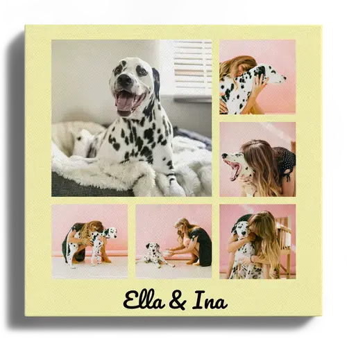 photo collage of best dog photos